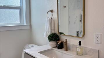A bathroom with a white toilet, a vanity with a mirror, a sink, and a potted plant.