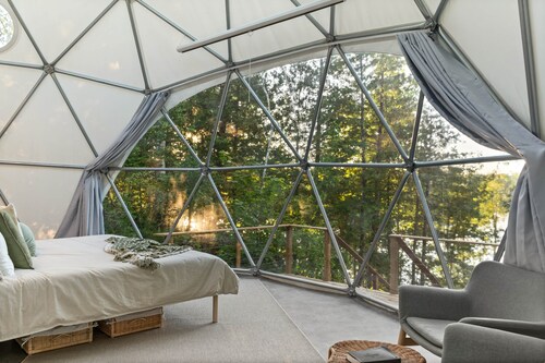 The Nest at Bellevue