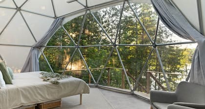 The Nest at Bellevue