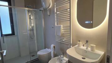 Shower, hair dryer, bidet, towels
