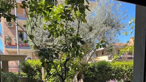 A view through a window of a courtyard with a tree, a stone planter, and a building in the background.