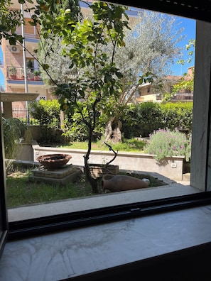 Vista attraverso una finestra su un cortile con un albero, un vaso in pietra e un edificio sullo sfondo.