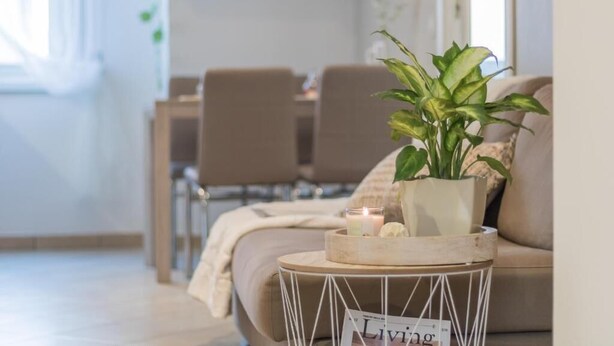 Un soggiorno con un divano, un tavolino con una pianta, una candela e una rivista intitolata 'Living'.