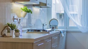 Una cucina moderna con piano cottura integrato, una pianta sospesa e una finestra con tende leggere.