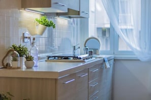A modern kitchen with a built-in stove, a hanging plant, and a window with sheer curtains. - Vatican St. Peter Apartment (Roma)