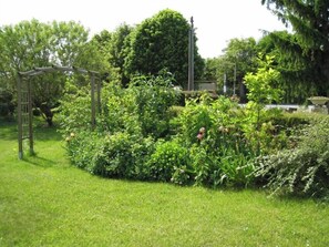 En trädgård med en pergola av trä, frodig grönska och ett stort utbud av växter.