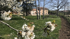 A park with blooming trees, a bench, and a building in the background.