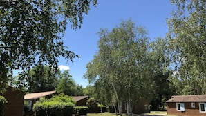 Un terrain de camping doté de plusieurs cabanes, d’une allée en gravier et d’un banc.