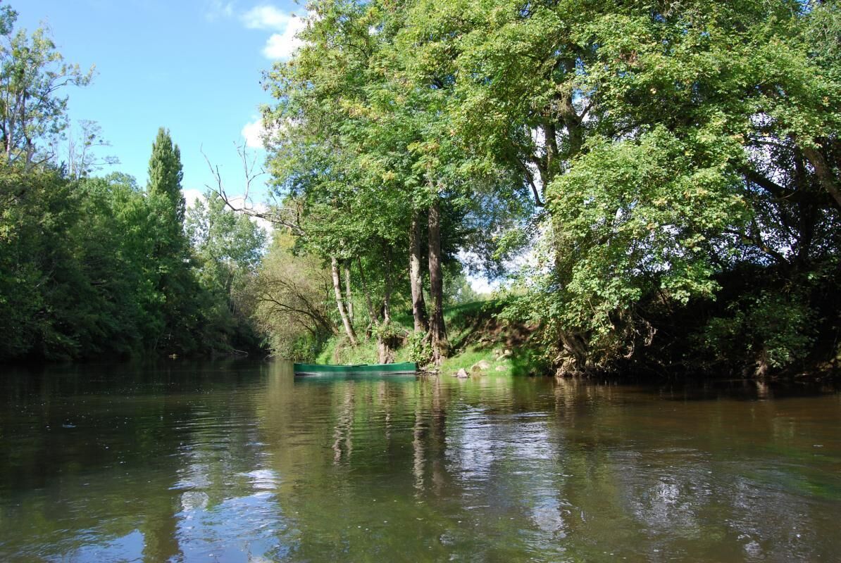 Un río tranquilo con una barca verde, rodeado de árboles frondosos y cielo despejado.