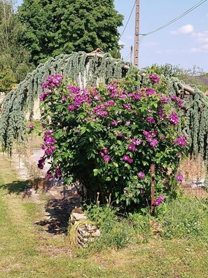 A garden with a flowering bush and a tree. - Le Grenier d'Alice - THURAGEAU (THURAGEAU)