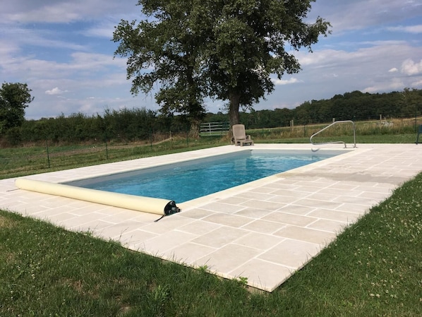 Une piscine rectangulaire avec une terrasse carrelée, un arbre en arrière-plan et une zone herbeuse.
