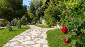 A stone pathway leading through a garden with green grass and trees.