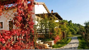 A stone pathway leading to a house with a wooden fence and climbing plants. - Anerada Houses - Seaviews Above Egremni in Lefkada (Lefkada)