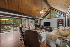 TV, fireplace, books