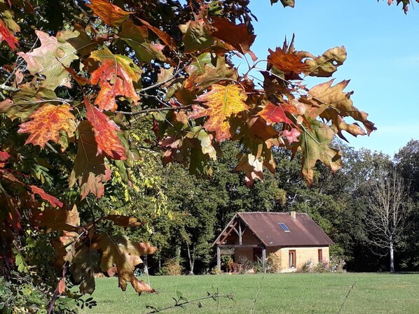 Terrain de l’hébergement 