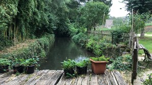 Een houten terras met plantenbakken en een rivier.