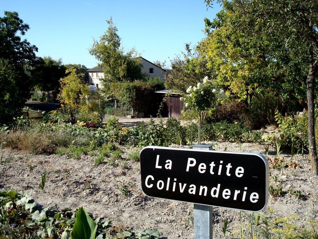 Terrain de l’hébergement 