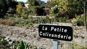 Ein Schild mit dem Text 'La Petite Colivanderie' in einem Garten, mit Bäumen und einem Gebäude im Hintergrund.