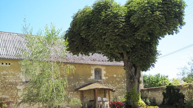 Edifici de pedra amb teulada d'estries i un porxo cobert, amb un arbre gran a la façana.