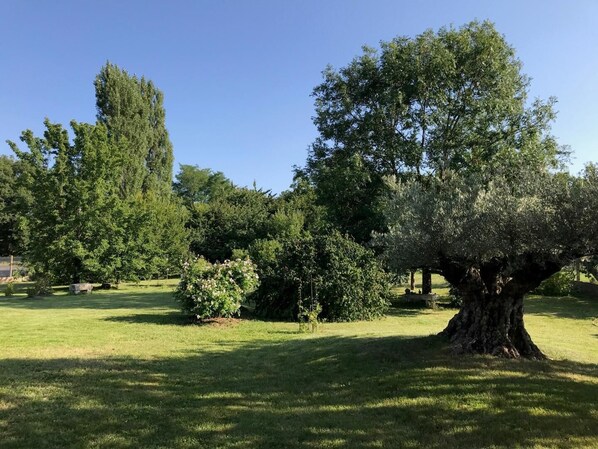 A park with various trees and a grassy area. - Le Loft 2 - VOUNEUIL SOUS BIARD (VOUNEUIL SOUS BIARD)