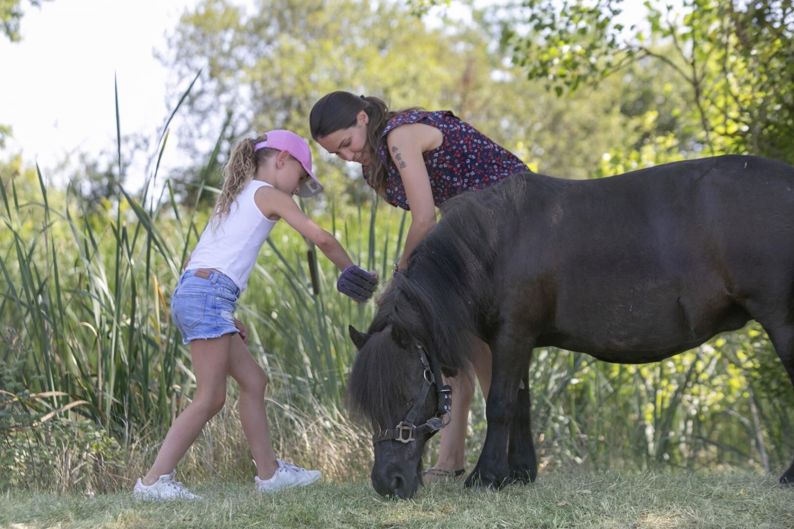 Two people interacting with a horse in a grassy outdoor area.