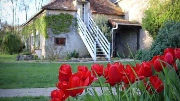 Ein rustikales Haus mit einer Treppe, die zu einer Tür führt, umgeben von Grün und roten Tulpen.