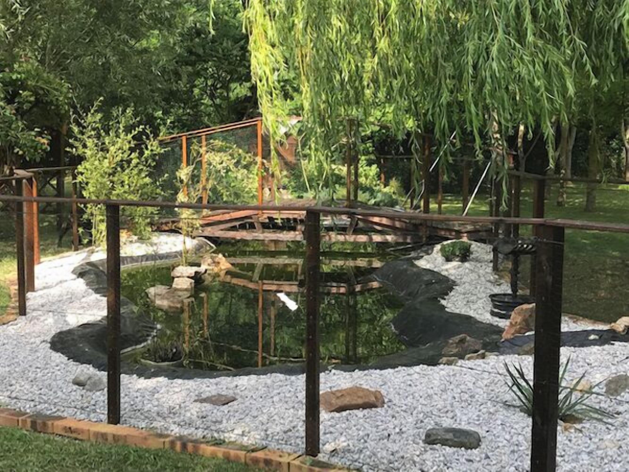 A pond with a wooden bridge, surrounded by rocks and plants.