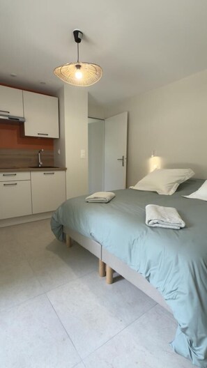 A bedroom with a bed, pillows, a bedside lamp, a small kitchenette, and a ceiling light. - Au clair de la Rhune (MARCAY)