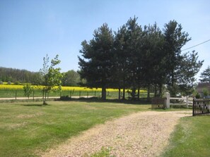Paisaje rural con un sendero de grava, árboles y una valla.