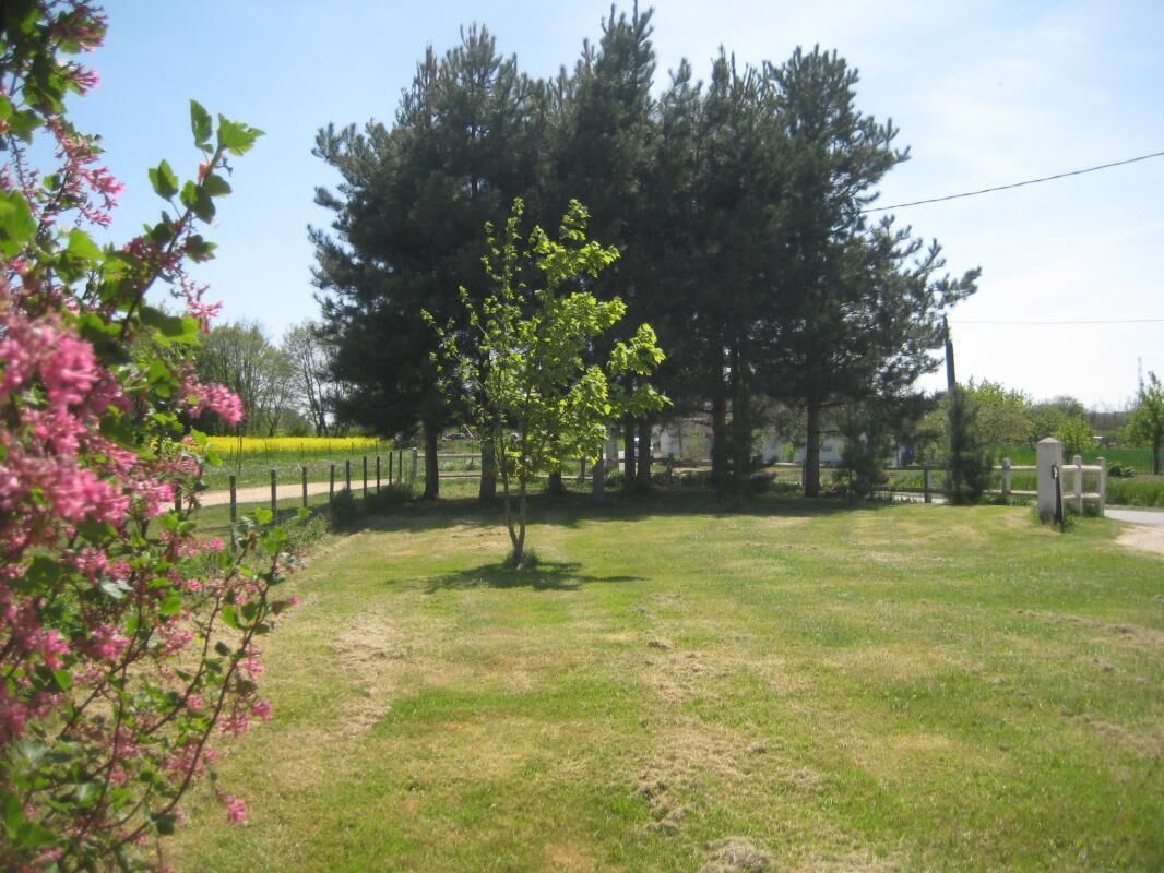 A grassy area with a tree, a fence, and a building in the background.