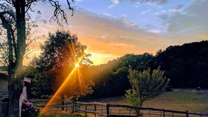 Um pôr do sol sobre uma paisagem rural com cerca de madeira, árvores e um edifício com floreiras.