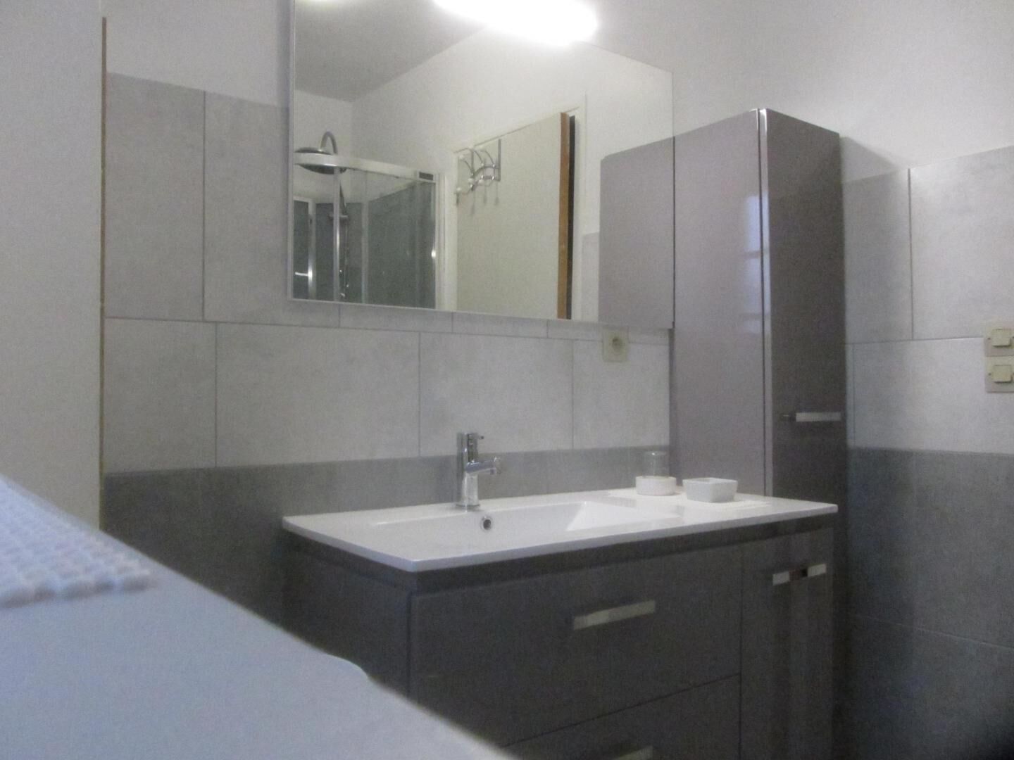 A bathroom with a white sink, dark cabinets, a mirror, and a shower.