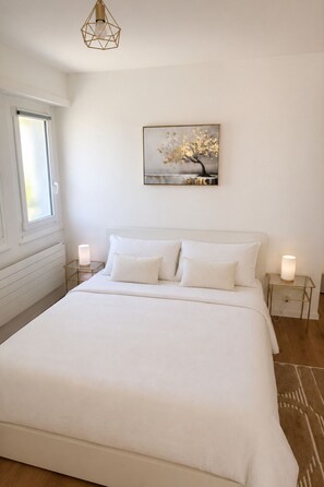 Desk, iron/ironing board, WiFi, bed sheets - Lausanne train-station (Lausanne)