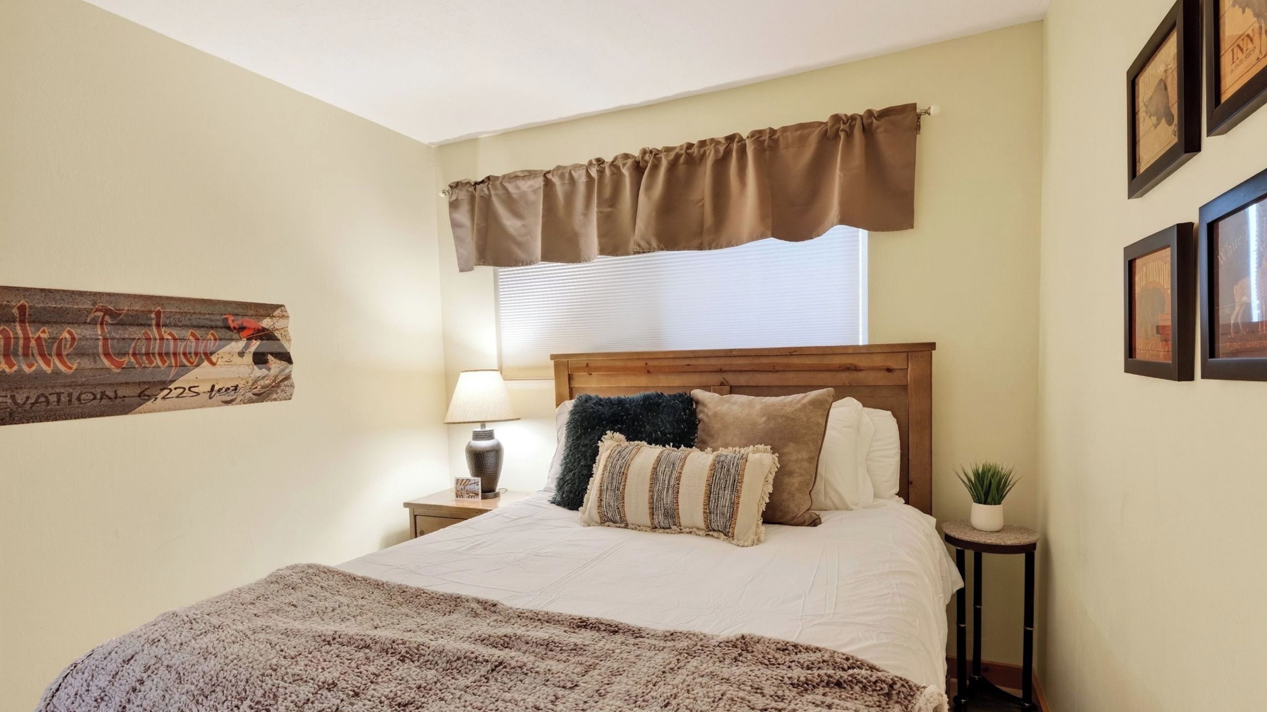 A bedroom with a bed, a window with blinds, a bedside lamp, a framed picture, and a wall-mounted plant.