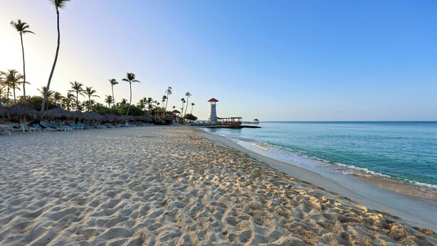 Ein Strand mit einer Mole, Palmen und Liegestühlen.