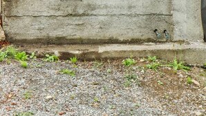 Zona vallada con un cartel que indica estacionamiento para gente de playa, un muro de concreto y una vista de un edificio con fachada de azulejos.