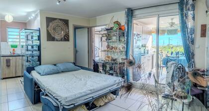 Ocean drive - Balcon - Petfriendly