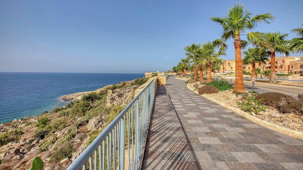 Ein Küstenweg mit Palmen, einer Steinschutzmauer und Blick aufs Meer.
