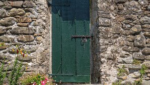 Un bâtiment en pierre avec une porte verte, des plantes en pot et un chemin en pierre.