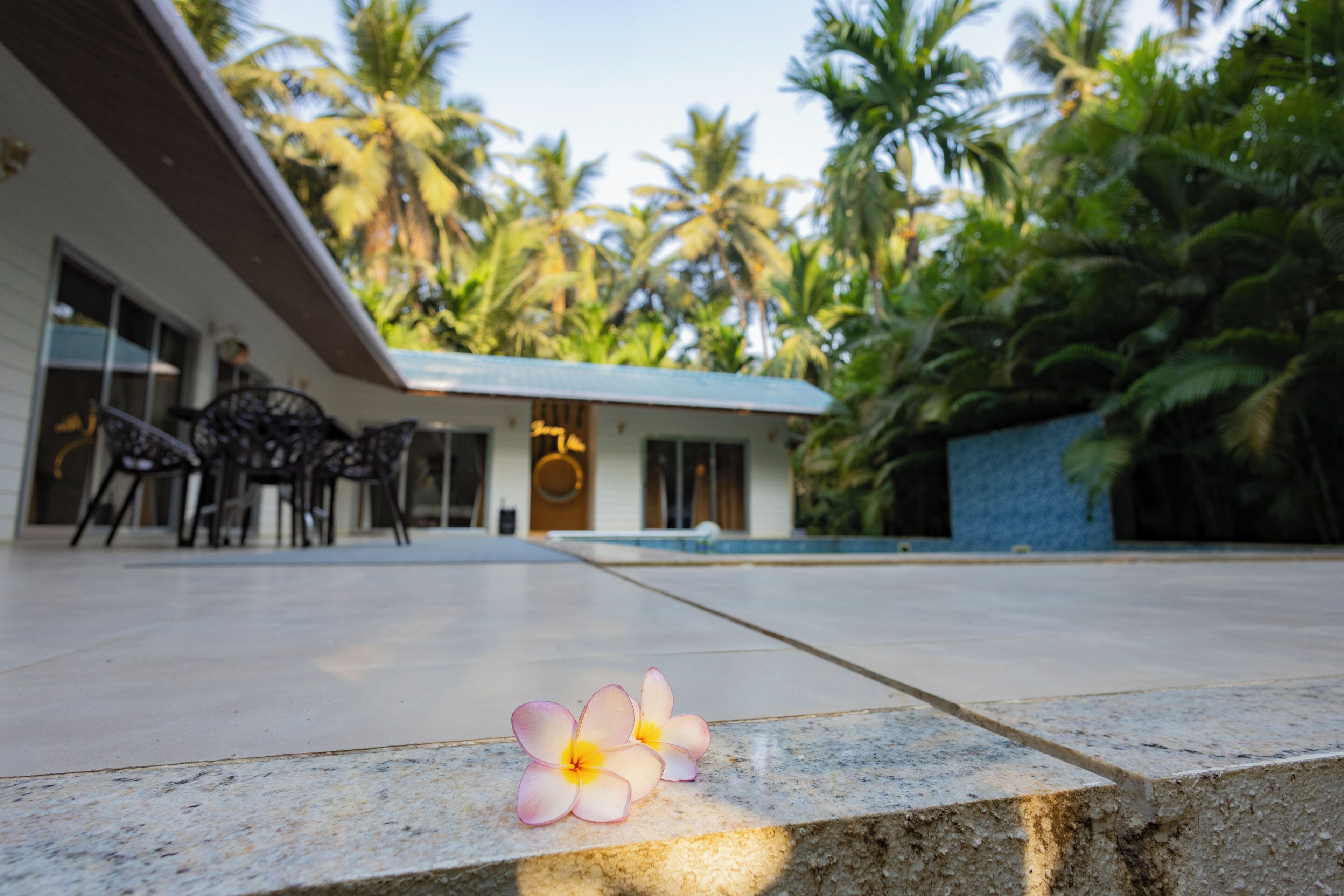 Family Villa, Balcony, Pool View | Outdoor dining