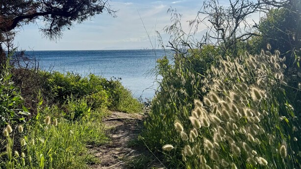 A dirt path leading to a body of water, surrounded by greenery and trees. - NEREIDS-The Coastal Suite. The sea one breath away from you (Quartu Sant'Elena)