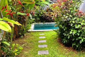 Ein Pool, umgeben von üppigem Grün und einem steinernen Weg, der dorthin führt.