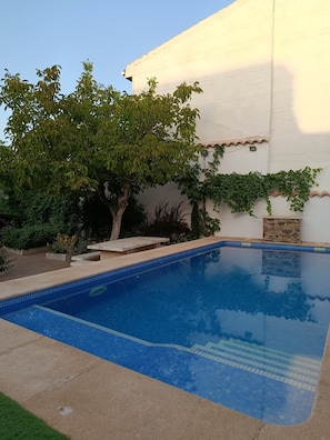 A swimming pool with a tiled edge, surrounded by a garden with various plants and a tree.
