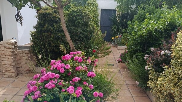 A garden with a variety of plants and flowers, a stone wall, and a tiled pathway.