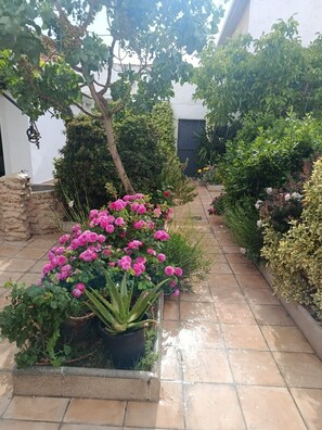 Ein Garten mit verschiedenen Pflanzen und Blumen, einer Steinmauer und einem gefliesten Weg.