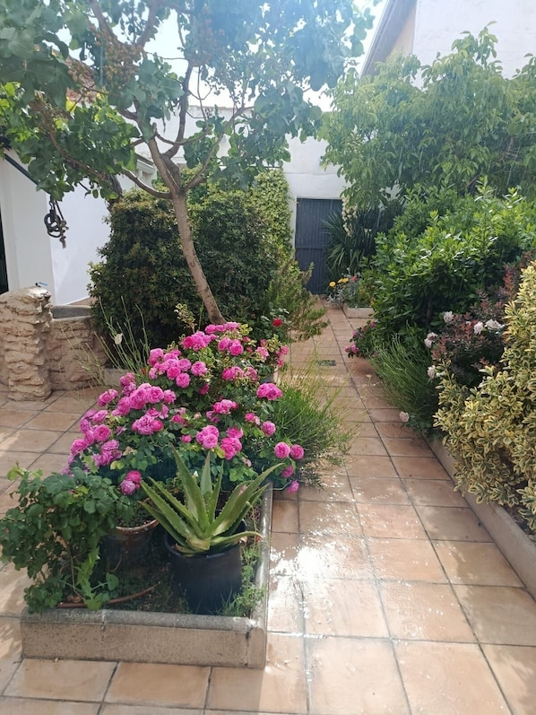 Um jardim com diversas plantas e flores, um muro de pedra e um caminho de azulejos.