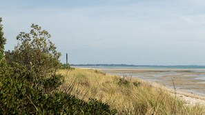 Beach nearby - Tides Edge in Capel Sound (Capel Sound)