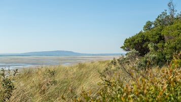Nær stranden