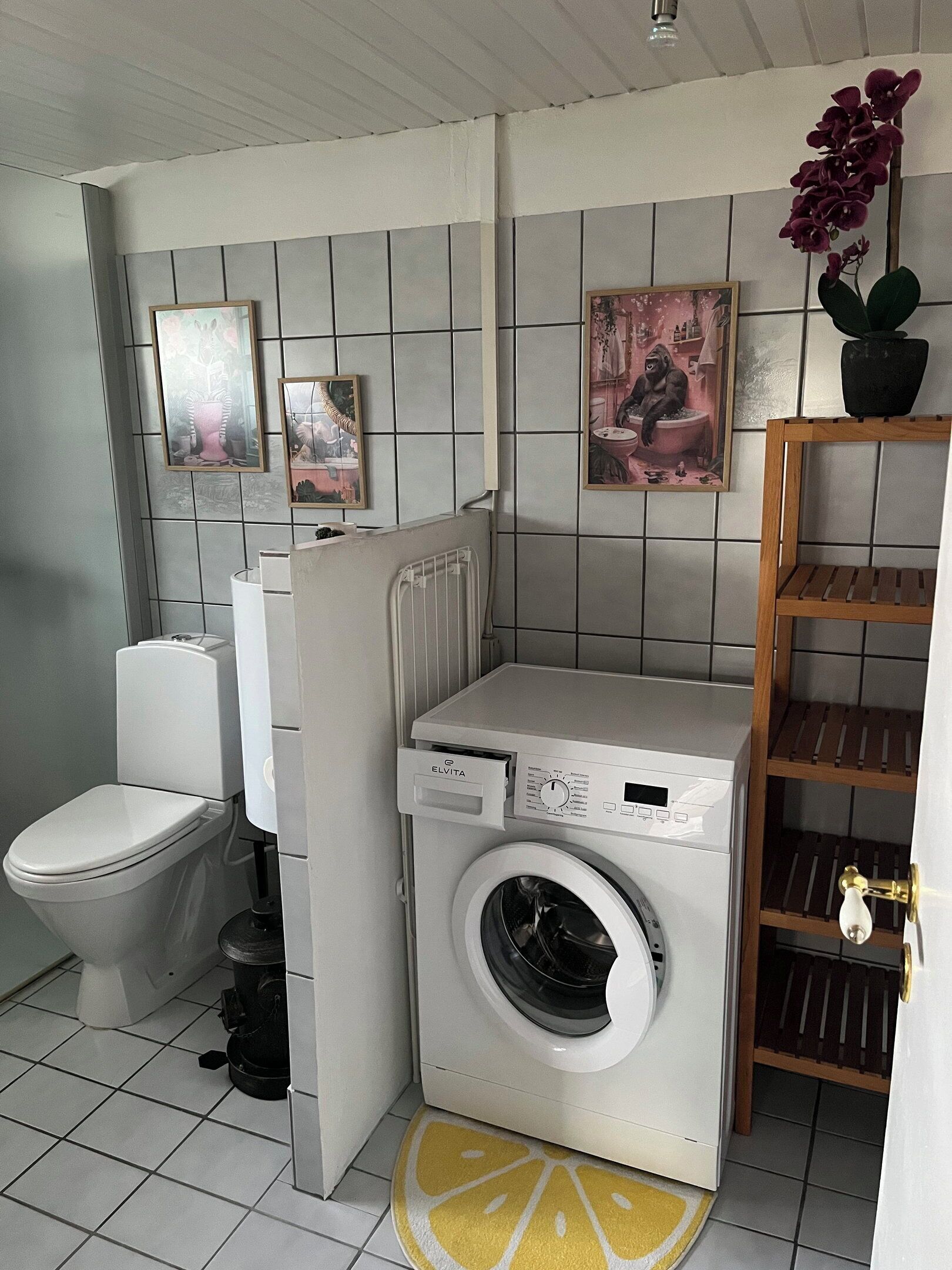 Ducha