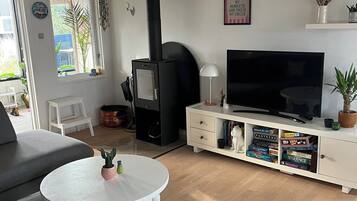 Fernseher